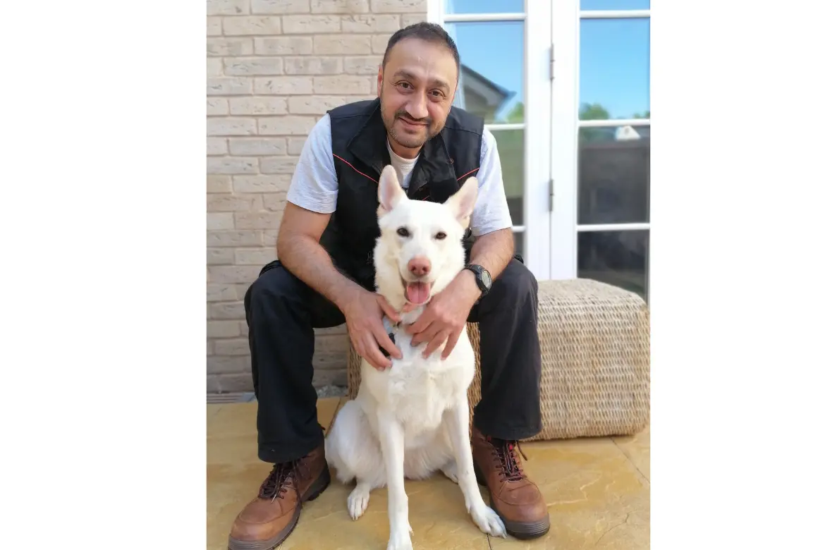 Finding the perfect dog trainer in Kent article image